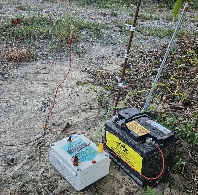 Poste de clôture et sa batterie posés au sol en bordure de vigne
